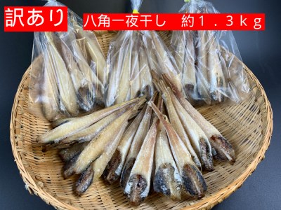 【訳あり】干物専門店の八角一夜干しセット(約30~40尾)