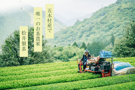 【栽培期間中農薬不使用・化学肥料不使用】 お茶 緑茶 急須がなくても飲める 五木茶 セット [松井製茶 熊本県 五木村 51120226]
