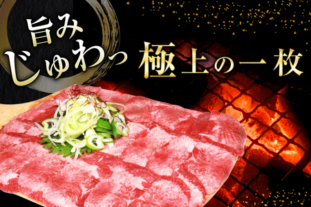 牛タン 薄切り 訳あり 塩味薄切り牛タン 500g 1P 計500g [上球磨農産 熊本県 五木村 51120345]