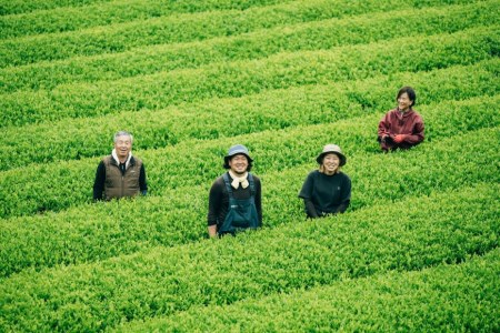 無農薬茶 ティーバッグ 3種（ほうじ茶・紅茶・玉緑茶） 計35パック / 松井製茶工場/ 熊本県 五木村