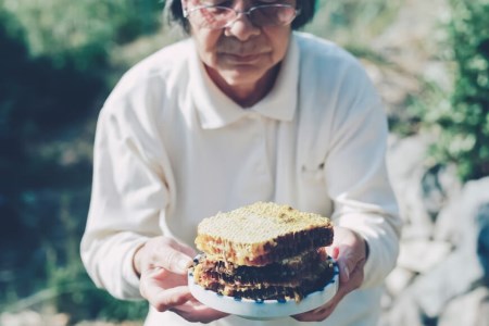 【保存料不使用】 天然！ 千花蜜（はちみつ） 550g [日添 熊本県 五木村 51120311]