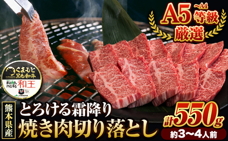 くまもと黒毛和牛 和王 バラ 霜降り 焼肉切り落とし 550g A5 A4 等級《30日以内に出荷予定(土日祝除く)》熊本県 山江村 黒毛和牛 牛肉 冷凍 個別 取分け 小分け チャック付き バラ凍結 肉 お肉 焼き肉 焼き肉用