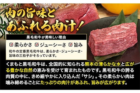 くまもと黒毛和牛 外モモ 赤身 ローストビーフ用 ブロック 500g 牛肉 冷凍《30日以内に出荷予定(土日祝除く)》 黒毛和牛 ローストビーフ 熊本県 山江村