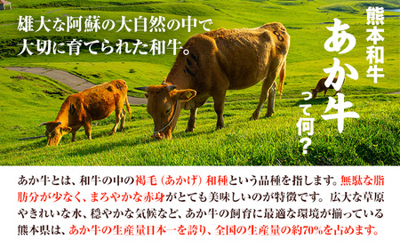 あか牛 ローストビーフ 200g 熊本県産 山江村 あか牛 赤牛 三協畜産《60日以内に出荷予定(土日祝除く)》