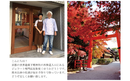 やまえ栗 ジェラート 4個 友和堂 《10月上旬-12月中旬頃出荷》 熊本県 球磨郡 山江村 スイーツ お菓子 洋菓子 アイス 栗 くり 