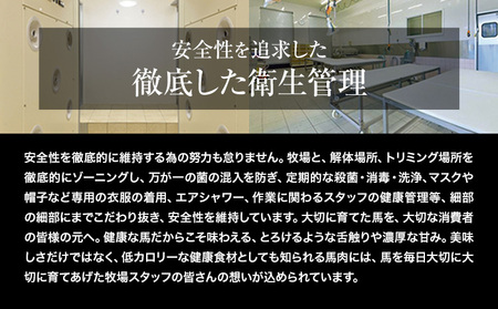 赤身馬刺し200g 【純国産熊本肥育】生食用 冷凍《1-5営業日以内に出荷予定(土日祝除く)》送料無料 熊本県 球磨郡 山江村