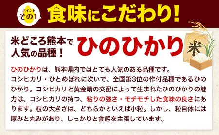 令和6年産 新米 ひのひかり 無洗米 10kg 《7-14営業日以内に出荷予定(土日祝除く)》 熊本県産 無洗米 精米 ひの 送料無料 熊本県 山江村