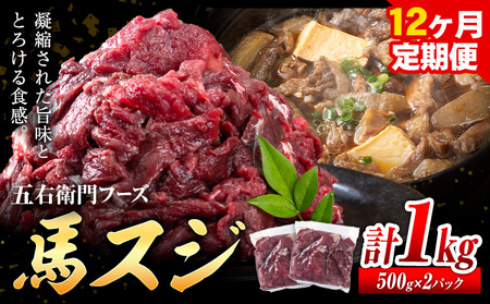 馬肉 馬スジ 500g × 2パック 12kg 12ヶ月定期便 五右衛門フーズ 《お申込み月の翌月から出荷開始》 熊本県 球磨郡 山江村 馬肉 肉 国産 スジ カレー 煮込み おでん おかず 送料無料 11,400円