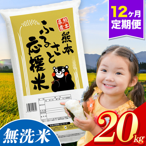 【12ヶ月定期便】米 無洗米 家庭用 熊本 ふるさと応援 定期便 米  20kg《お申込み翌月から出荷》