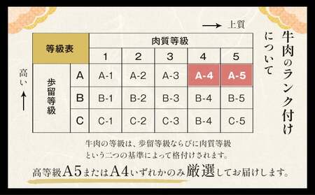 【ふるなびWEEK対象】くまもと黒毛和牛 A4～A5等級厳選 焼肉用 赤身×霜降り食べ比べセット 600g FN-Limited-PR