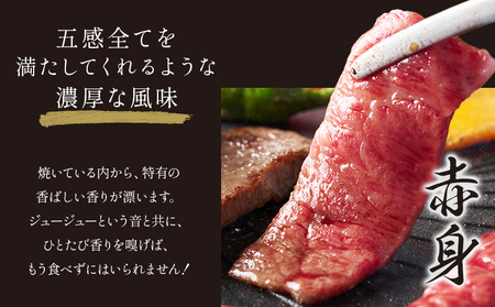 【ふるなびWEEK対象】くまもと黒毛和牛 A4～A5等級厳選 焼肉用 赤身×霜降り食べ比べセット 600g FN-Limited-PR