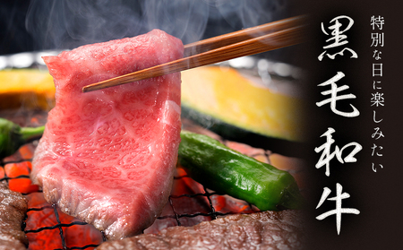 【ふるなびWEEK対象】くまもと黒毛和牛 A4~A5等級厳選 焼肉用 赤身×霜降り食べ比べセット 1200g FN-Limited-PR