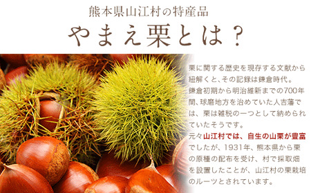 熊本県山江村産 山江村の栗まんじゅう 株式会社 やまえ《60日以内に出荷予定(土日祝除く)》