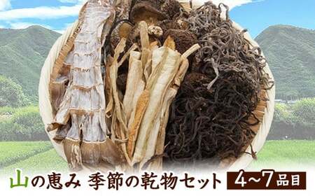 熊本県山江村産 山の恵み 季節の乾物セット 株式会社 やまえ《60日以内に出荷予定(土日祝除く)》