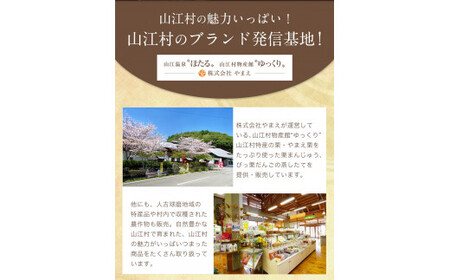 熊本県山江村産 山の恵み 季節の乾物セット 株式会社 やまえ《60日以内に出荷予定(土日祝除く)》