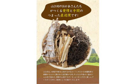 熊本県山江村産 山の恵み 季節の乾物セット 株式会社 やまえ《60日以内に出荷予定(土日祝除く)》