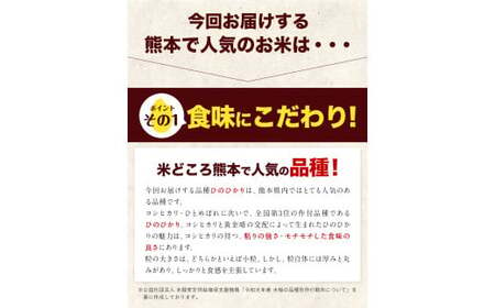 令和5年産 ひのひかり 10kg 5kg×2袋 《7-14営業日以内に出荷予定(土日祝除く)》 熊本県産 無洗米 ひの 送料無料 熊本県 山江村　訳あり OR FN-SupportProject OR 増量 OR 年末企画