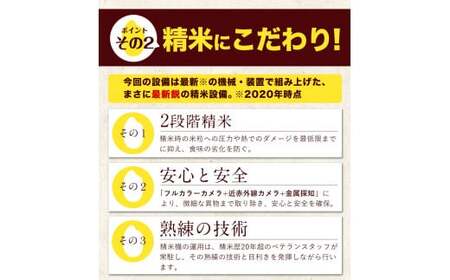 令和5年産 ひのひかり 10kg 5kg×2袋 《7-14営業日以内に出荷予定(土日祝除く)》 熊本県産 無洗米 ひの 送料無料 熊本県 山江村　訳あり OR FN-SupportProject OR 増量 OR 年末企画