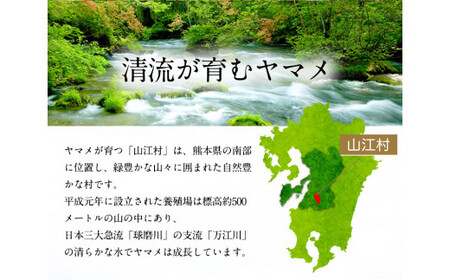 ヤマメの山椒煮 2袋(2尾約80g×2袋) 山江村ヤマメ生産組合《30日以内に出荷予定(土日祝除く)》