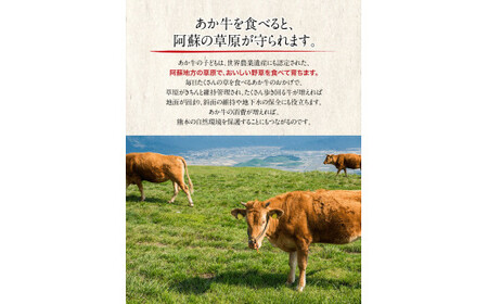 熊本県産和牛 あか牛ヒレステーキ 300g 《90日以内に出荷予定(土日祝除く)》あか牛 赤牛 あかうし ひろこの台所