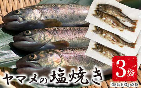 ヤマメの塩焼き 3袋(2尾約100g×3袋) 山江村ヤマメ生産組合《30日以内に出荷予定(土日祝除く)》