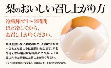 先行予約 くまもと梨 訳あり 熊本県産 約4kg 5玉～16玉前後《2024年8月末旬-10月中旬頃より出荷予定》｜フルーツ梨フルーツ梨フルーツ梨フルーツ梨フルーツ梨フルーツフルーツ梨フルーツ梨フルーツ梨フルーツフルーツ梨フルーツ梨フルーツ梨フルーツ梨フルーツ梨フルーツ梨フルーツ梨フルーツ梨フルーツ梨フルーツ梨フルーツ梨フルーツ梨フルーツ梨フルーツ梨フルーツ梨フルーツ梨フルーツ梨フルーツ梨フルーツ梨フルーツ梨フルーツ梨フルーツ梨フルーツ梨フルーツ梨フルーツ梨フルーツ梨フルーツ梨フルーツ梨フルーツ梨フルーツ梨フルーツ梨フルーツ梨フルーツ梨フルーツ梨フルーツ梨フルーツ梨フルーツ梨フルーツ梨フルーツ梨フルーツ梨フルーツ梨フルーツ梨フルーツ梨フルーツ梨フルーツ梨フルーツ梨フルーツ梨フルーツ梨フルーツ梨フルーツ梨フルーツ梨フルーツ梨フルーツ梨フルーツ梨フルーツ梨フルーツ梨フルーツ梨フルーツ梨フルーツ梨フルーツ梨フルーツ梨フルーツ梨フルーツ梨フルーツ梨フルーツ梨フルーツ梨フルーツ梨フルーツ梨フルーツ梨フルーツ梨フルーツ梨フルーツ梨フルーツ梨フルーツ梨フルーツ梨フルーツ梨フルーツ梨フルーツ梨フルーツ梨フルーツ梨フルーツ梨フルーツ梨フルーツ梨フルーツ梨フルーツ梨フルーツ梨フルーツ梨フルーツ梨フルーツ梨フルーツ梨フルーツ梨フルーツ梨フルーツ梨フルーツ梨フルーツ梨フルーツ梨フルーツ梨フルーツ梨フルーツ梨フルーツ梨フルーツ梨フルーツ梨フルーツ梨フルーツ梨フルーツ梨フルーツ梨フルーツ梨フルーツ梨フルーツ梨フルーツ梨フルーツ梨フルーツ梨フルーツ梨フルーツ梨フルーツ梨フルーツ梨フルーツ梨フルーツ梨フルーツ梨フルーツ梨フルーツ梨フルーツ梨フルーツ梨フルーツ梨フルーツ梨フルーツ梨フルーツ梨フルーツ梨フルーツ梨フルーツ梨フルーツ梨フルーツ梨フルーツ梨フルーツ梨フルーツ梨フルーツ梨フルーツ梨フルーツ梨フルーツ梨フルーツ梨フルーツ梨フルーツ梨フルーツ梨フルーツ梨フルーツ梨フルーツ梨フルーツ梨フルーツ梨フルーツ梨フルーツ梨フルーツ梨フルーツ梨フルーツ梨フルーツ梨フルーツ梨フルーツ梨フルーツ梨フルーツ梨フルーツ梨フルーツ梨フルーツ梨フルーツ梨フルーツ梨フルーツ梨フルーツ梨フルーツ梨フルーツ梨フルーツ梨フルーツ梨フルーツ梨フルーツ梨フルーツ梨フルーツ梨フルーツ梨フルーツ梨フルーツ梨フルーツ梨フルーツ梨フルーツ