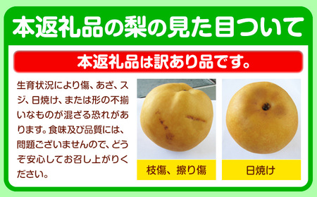 先行予約 くまもと梨 訳あり 熊本県産 約4kg 5玉～16玉前後《2024年8月末旬-10月中旬頃より出荷予定》｜フルーツ梨フルーツ梨フルーツ梨フルーツ梨フルーツ梨フルーツフルーツ梨フルーツ梨フルーツ梨フルーツフルーツ梨フルーツ梨フルーツ梨フルーツ梨フルーツ梨フルーツ梨フルーツ梨フルーツ梨フルーツ梨フルーツ梨フルーツ梨フルーツ梨フルーツ梨フルーツ梨フルーツ梨フルーツ梨フルーツ梨フルーツ梨フルーツ梨フルーツ梨フルーツ梨フルーツ梨フルーツ梨フルーツ梨フルーツ梨フルーツ梨フルーツ梨フルーツ梨フルーツ梨フルーツ梨フルーツ梨フルーツ梨フルーツ梨フルーツ梨フルーツ梨フルーツ梨フルーツ梨フルーツ梨フルーツ梨フルーツ梨フルーツ梨フルーツ梨フルーツ梨フルーツ梨フルーツ梨フルーツ梨フルーツ梨フルーツ梨フルーツ梨フルーツ梨フルーツ梨フルーツ梨フルーツ梨フルーツ梨フルーツ梨フルーツ梨フルーツ梨フルーツ梨フルーツ梨フルーツ梨フルーツ梨フルーツ梨フルーツ梨フルーツ梨フルーツ梨フルーツ梨フルーツ梨フルーツ梨フルーツ梨フルーツ梨フルーツ梨フルーツ梨フルーツ梨フルーツ梨フルーツ梨フルーツ梨フルーツ梨フルーツ梨フルーツ梨フルーツ梨フルーツ梨フルーツ梨フルーツ梨フルーツ梨フルーツ梨フルーツ梨フルーツ梨フルーツ梨フルーツ梨フルーツ梨フルーツ梨フルーツ梨フルーツ梨フルーツ梨フルーツ梨フルーツ梨フルーツ梨フルーツ梨フルーツ梨フルーツ梨フルーツ梨フルーツ梨フルーツ梨フルーツ梨フルーツ梨フルーツ梨フルーツ梨フルーツ梨フルーツ梨フルーツ梨フルーツ梨フルーツ梨フルーツ梨フルーツ梨フルーツ梨フルーツ梨フルーツ梨フルーツ梨フルーツ梨フルーツ梨フルーツ梨フルーツ梨フルーツ梨フルーツ梨フルーツ梨フルーツ梨フルーツ梨フルーツ梨フルーツ梨フルーツ梨フルーツ梨フルーツ梨フルーツ梨フルーツ梨フルーツ梨フルーツ梨フルーツ梨フルーツ梨フルーツ梨フルーツ梨フルーツ梨フルーツ梨フルーツ梨フルーツ梨フルーツ梨フルーツ梨フルーツ梨フルーツ梨フルーツ梨フルーツ梨フルーツ梨フルーツ梨フルーツ梨フルーツ梨フルーツ梨フルーツ梨フルーツ梨フルーツ梨フルーツ梨フルーツ梨フルーツ梨フルーツ梨フルーツ梨フルーツ梨フルーツ梨フルーツ梨フルーツ梨フルーツ梨フルーツ梨フルーツ梨フルーツ梨フルーツ梨フルーツ梨フルーツ梨フルーツ梨フルーツ梨フルーツ梨フルーツ梨フルーツ