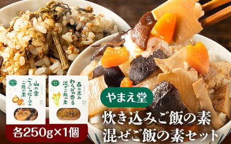 炊き込みご飯の素 混ぜご飯の素セット 各250g×1個 有限会社 やまえ堂 《30日以内に出荷予定(土日祝除く)》山の幸 たけのこ 竹の子 筍 しいたけ きくらげ わらび 炊き込みご飯 混ぜ込みご飯 送料無料