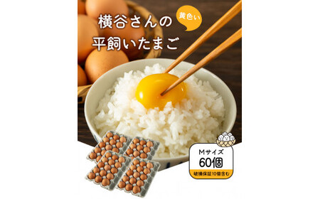 横谷さんの平飼いたまご Mサイズ60個入り 破損保証10個含む 山江村ヤマメ生産組合《30日以内に出荷予定(土日祝除く)》