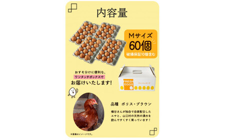 横谷さんの平飼いたまご Mサイズ60個入り 破損保証10個含む 山江村ヤマメ生産組合《30日以内に出荷予定(土日祝除く)》