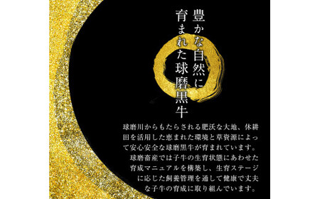 A4等級以上 熊本県産黒毛和牛 リブローススライス (すき焼き用) 400g チクキョウミート《60日以内に出荷予定(土日祝除く)》