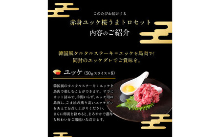 赤身ユッケ桜うまトロセット 計1kg 1000g ユッケ 桜うまトロ(ネギトロ) 馬肉 冷凍 《60日以内に出荷予定(土日祝除く)》 新鮮 さばきたて 真空パック 肉 熊本県球磨郡山江村 馬刺し おつまみ