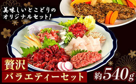 贅沢バラエティセット 540g 馬肉 冷凍 《60日以内に出荷予定(土日祝除く)》 新鮮 さばきたて 生食用 肉 熊本県球磨郡山江村 馬刺し 馬肉 惣菜 希少部位