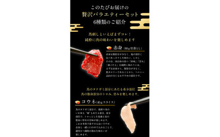 贅沢バラエティセット 540g 馬肉 冷凍 《60日以内に出荷予定(土日祝除く)》 新鮮 さばきたて 生食用 肉 熊本県球磨郡山江村 馬刺し 馬肉 惣菜 希少部位