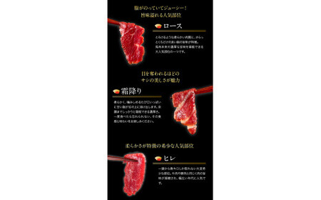 馬刺し7部位堪能セット 約510g タレ付き 馬肉 冷凍 《60日以内に出荷予定(土日祝除く)》 新鮮 さばきたて 生食用 肉 熊本県球磨郡山江村 馬刺し 馬肉 希少部位 タタキ 赤身 霜降り ロース ヒレ ユッケ ネギトロ 桜うまトロ