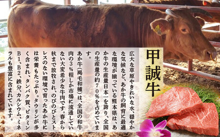 熊本和牛あか牛ぎょうざセット(熊本あか牛餃子20個入り×2箱) FKP9-498