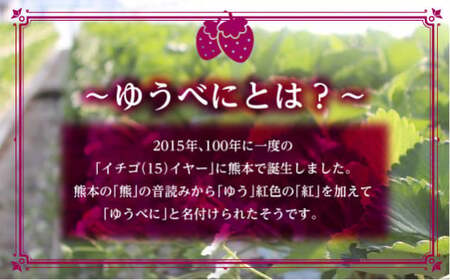 【先行予約】球磨村産いちご/ゆうべに 3箱 (250g×6パック) FKP9-540 