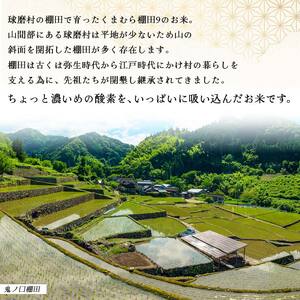 【令和6年度産】球磨村産　棚田米／白米2kg FKP9-549