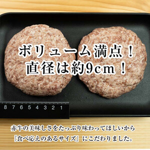 【3カ月定期】肥後の赤牛ハンバーグ（150g×6個） FKP9-595