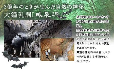 球泉洞 入場チケット (一般コース) 1枚 鍾乳洞 鍾乳石 地下 観光 自然 FKP9-615