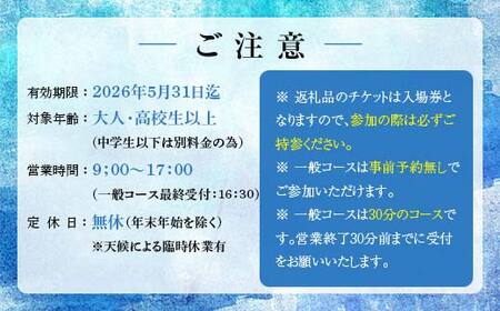 球泉洞 入場チケット (一般コース) 1枚 鍾乳洞 鍾乳石 地下 観光 自然 FKP9-615