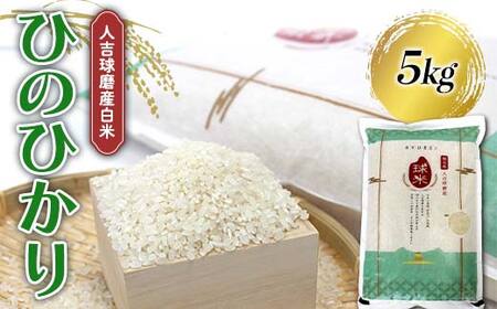 FKP9-678 【令和7年度産】人吉球磨産 白米 ひのひかり 5kg 新米 白米 精米 ふっくら 国産米 おすすめ 農家