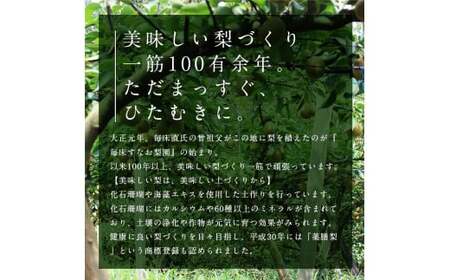【先行予約】 マンゴー梨（王秋梨） 約2.5kg なし ナシ 和梨 和なし 和ナシ ブランド梨 FKP9-652
