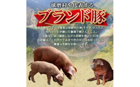 熊本県 球磨村 農林水産大臣賞受賞 一勝地赤豚 詰め合わせ 2.1kg FKP9-139