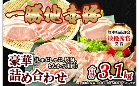 熊本県 球磨村 農林水産大臣賞受賞 一勝地赤豚 詰め合わせ 3.1kg FKP9-140