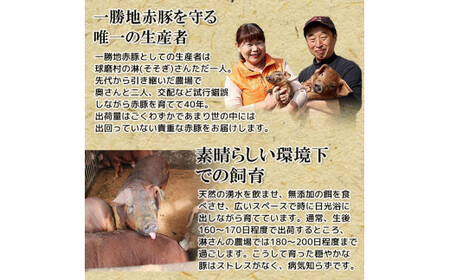 熊本県 球磨村 農林水産大臣賞受賞 一勝地赤豚 詰め合わせ 3.1kg FKP9-140