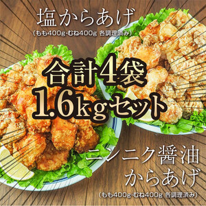 熊本県 球磨村 幸せのからあげ ゴールドセット 調理済 1.6kg もも むね 塩・にんにく醤油 唐揚げ から揚げ からあげ 鶏肉 とり肉 国産 FKP9-164