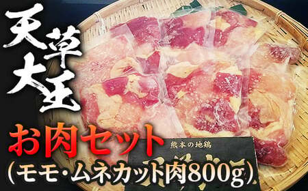 天草大王　お肉セット(モモ・ムネカット肉800g) FKP9-335