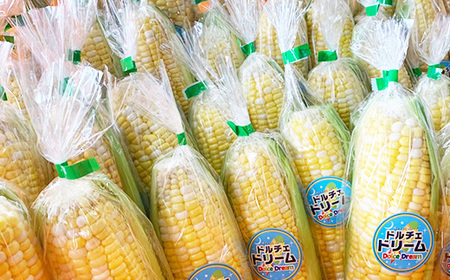予約専用　とうもろこし(ドルチェドリーム)　4kg 2kg　熊本県産 予約専用 とうもろこし(ドルチェドリーム) 4kg 2kg 熊本県産