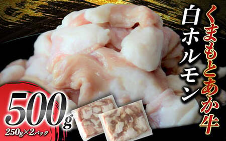 熊本県 球磨村 くまもとあか牛 白ホルモン 500g（250g×2パック） FKP9-411